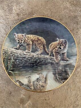 Vintage Cougar Cubs Decorative Collector Plate - Gold Rim